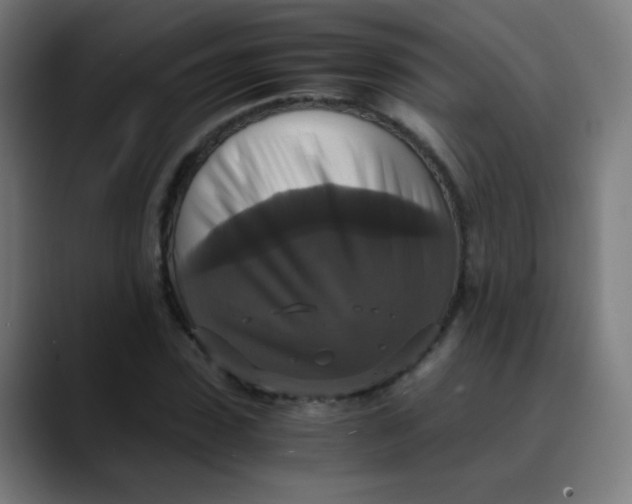 X0000089730923200707121446
