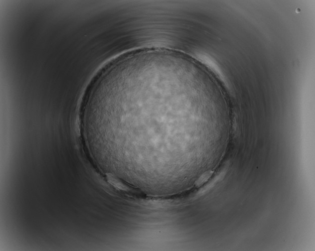 X0000089730924200707121446