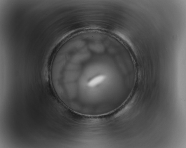 X0000089730925200707121446