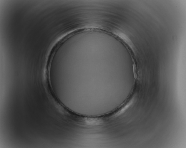 X0000089730928200707121446