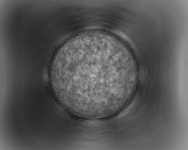 X0000089730929200707121446