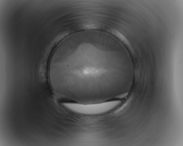 X0000089730930200707121446