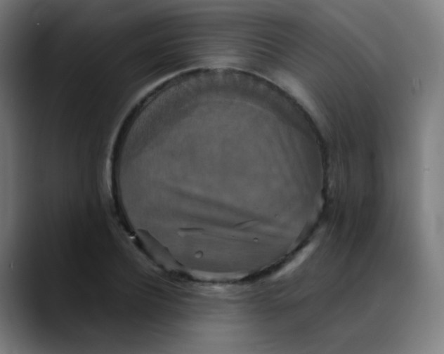 X0000089730932200707121446