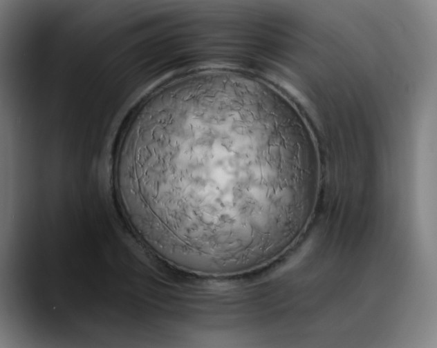 X0000089730933200707121446