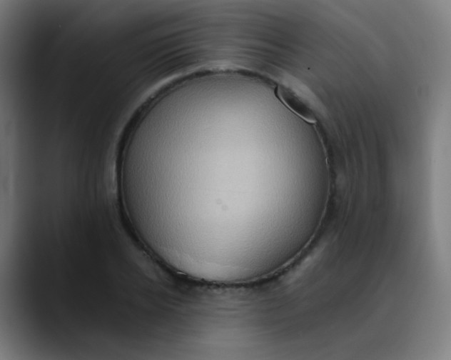 X0000089730934200707121446