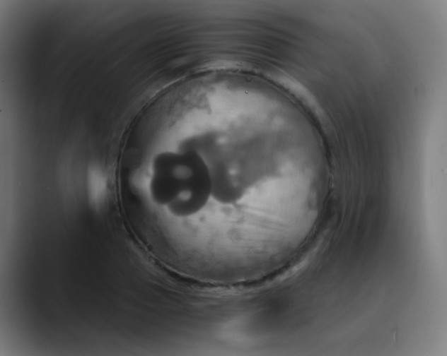 X0000089730937200707121446