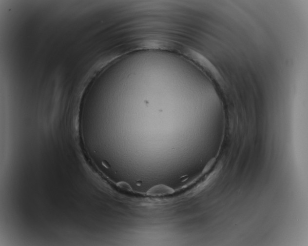 X0000089730938200707121446