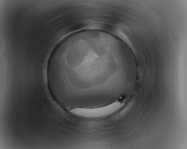 X0000089730939200707121446