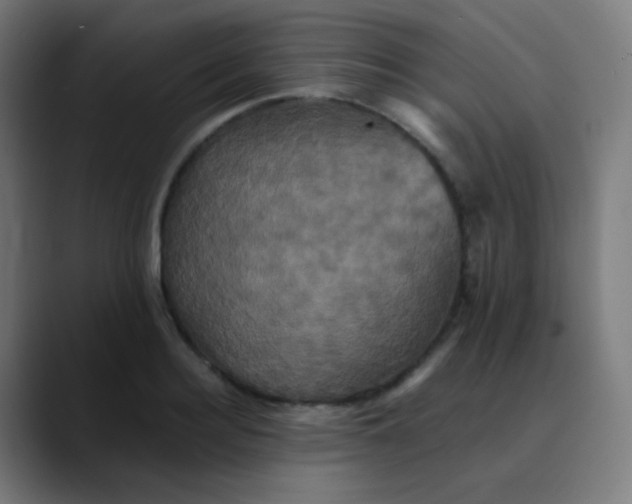 X0000089730940200707121446