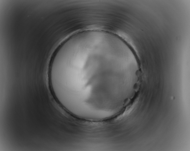 X0000089730941200707121446