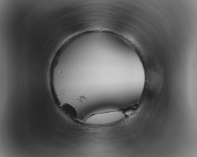 X0000089730942200707121446