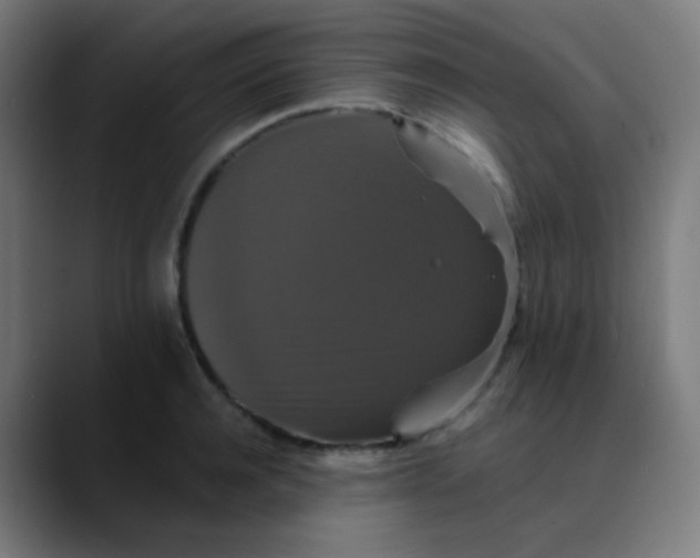 X0000089730944200707121446