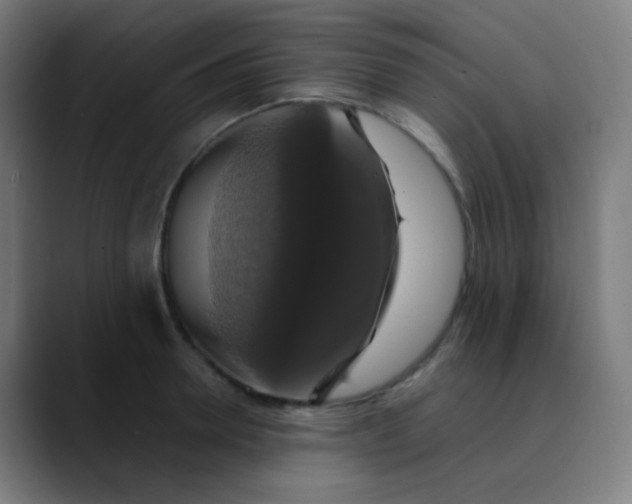 X0000089730946200707121446