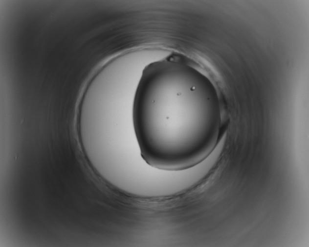X0000089730948200707121447