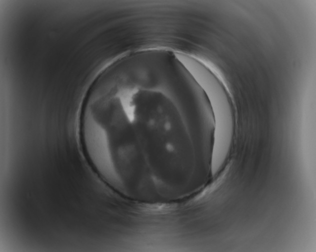 X0000089730949200707121447