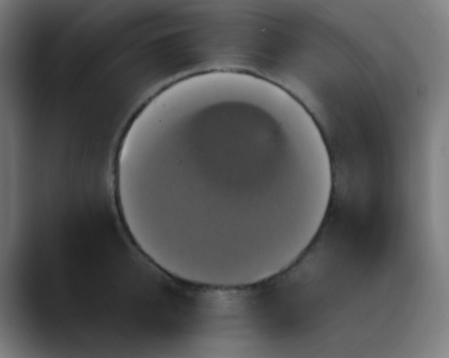 X0000089730950200707121447