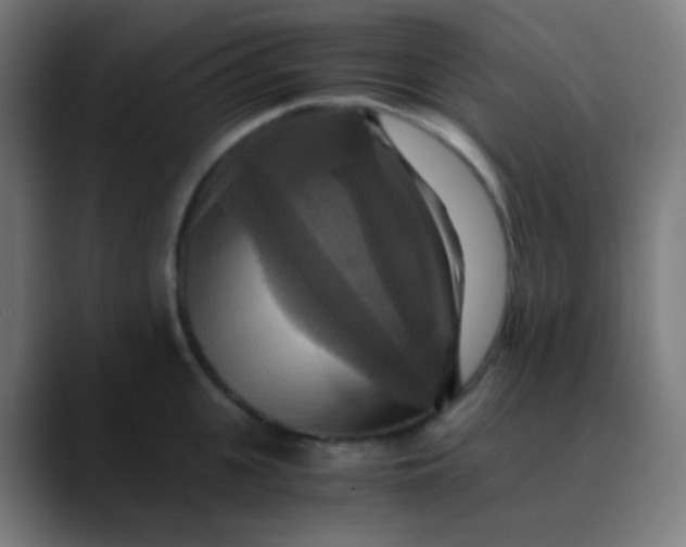 X0000089730951200707121447