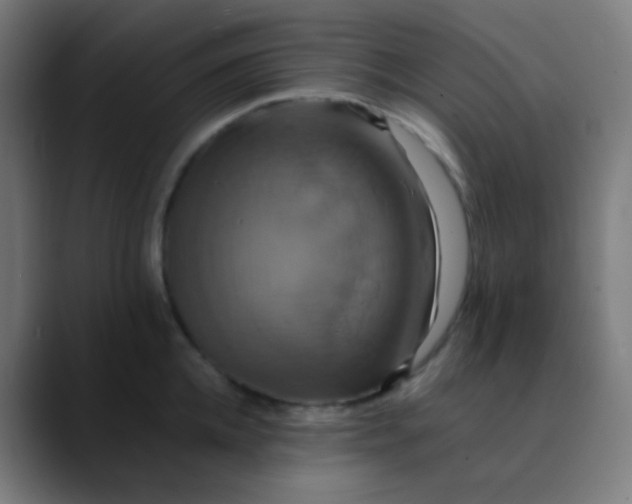 X0000089730952200707121447