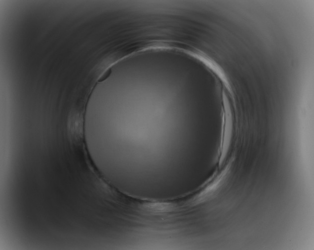 X0000089730953200707121447