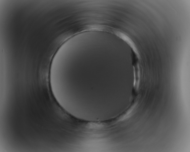 X0000089730954200707121447