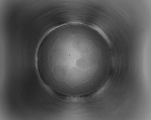 X0000089730955200707121447