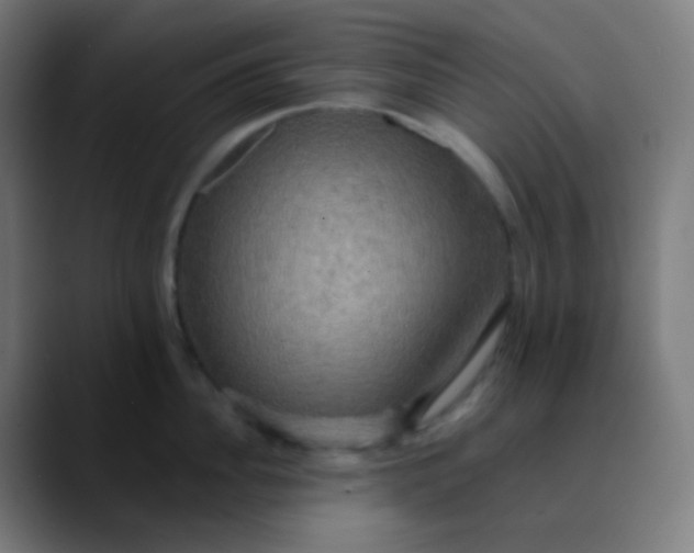 X0000089730956200707121447