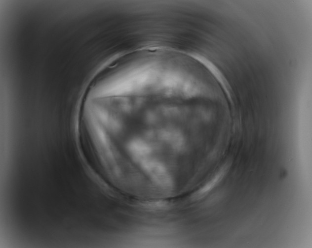 X0000089730957200707121447