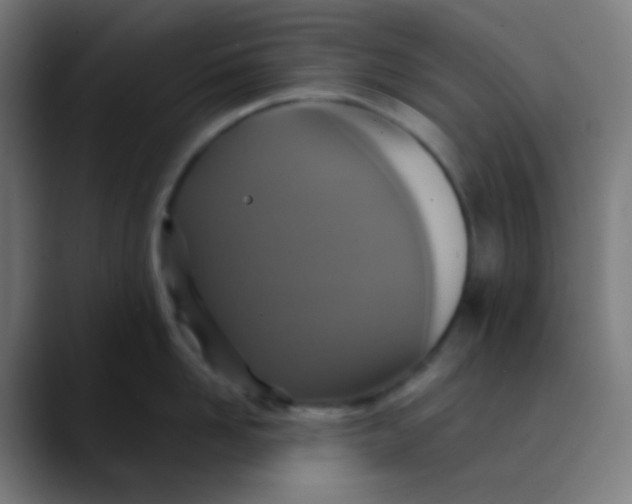 X0000089730958200707121447