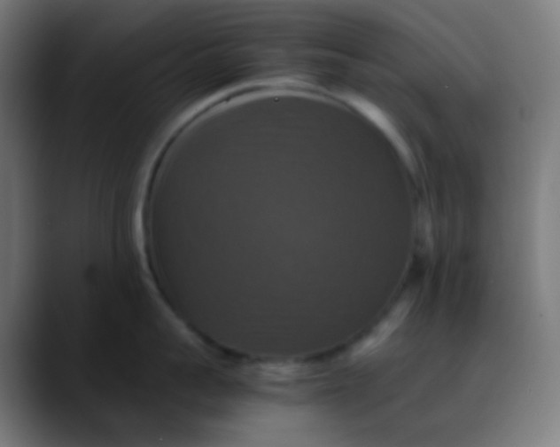 X0000089730959200707121447