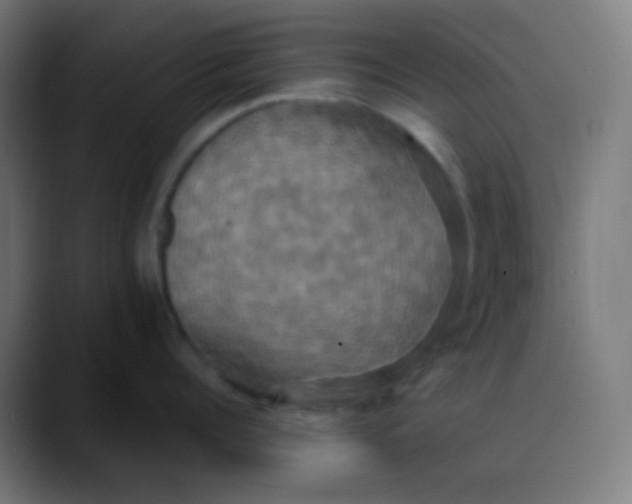 X0000089730960200707121447