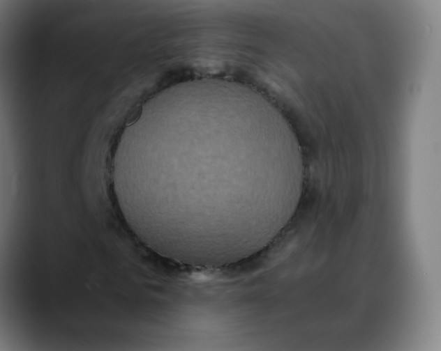 X0000089730961200707121446