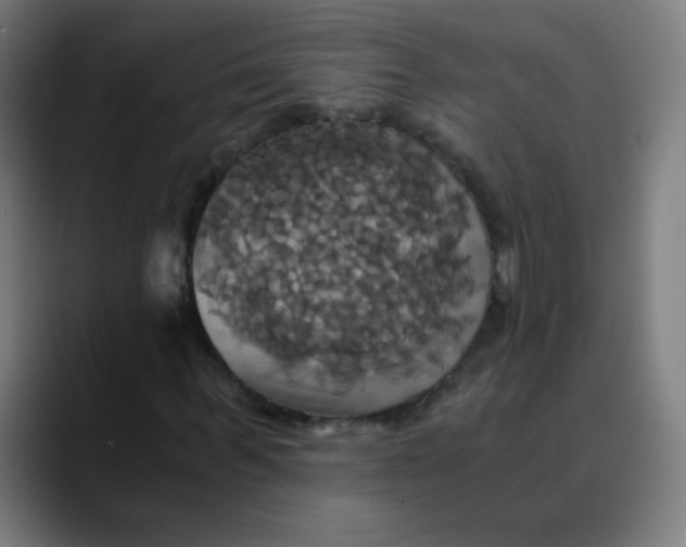 X0000089730963200707121446
