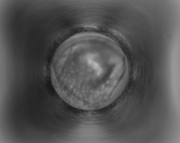 X0000089730966200707121446