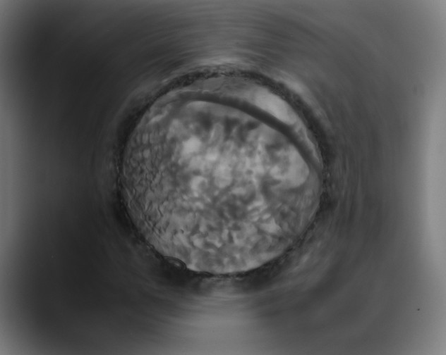 X0000089730967200707121446