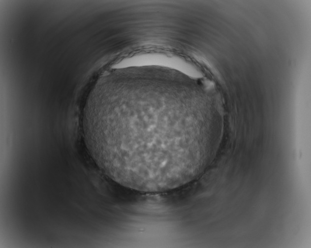 X0000089730968200707121446
