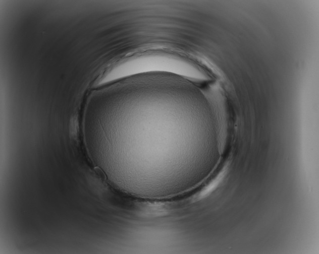 X0000089730969200707121446