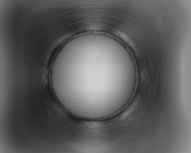 X0000089730970200707121446