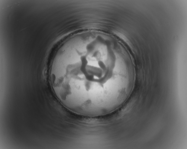 X0000089730971200707121446