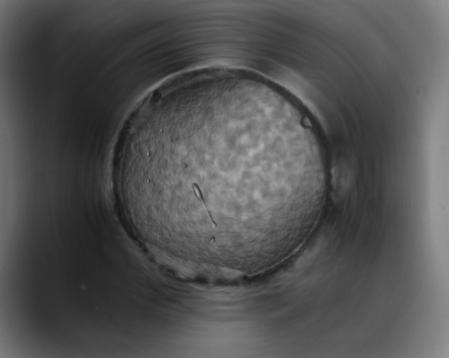 X0000089730972200707121446
