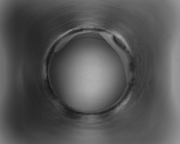 X0000089730973200707121446