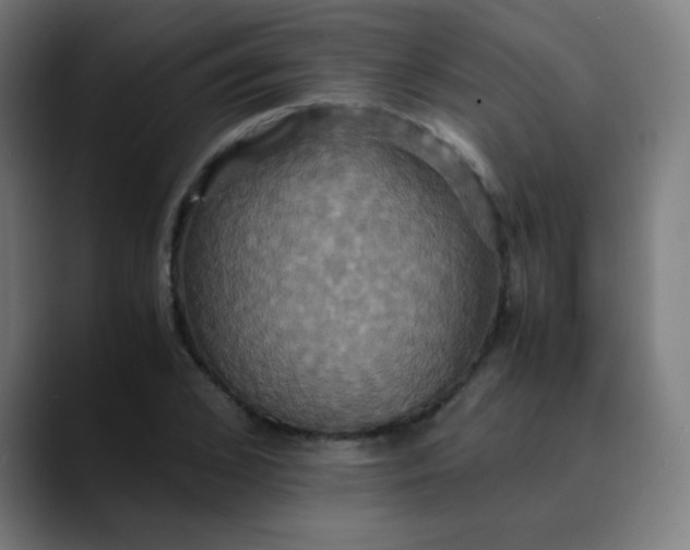 X0000089730976200707121446