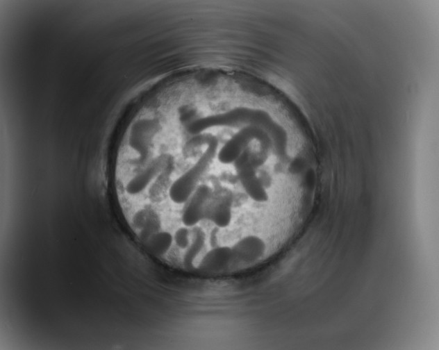 X0000089730979200707121446