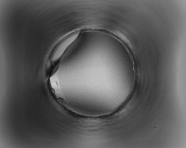 X0000089730981200707121446
