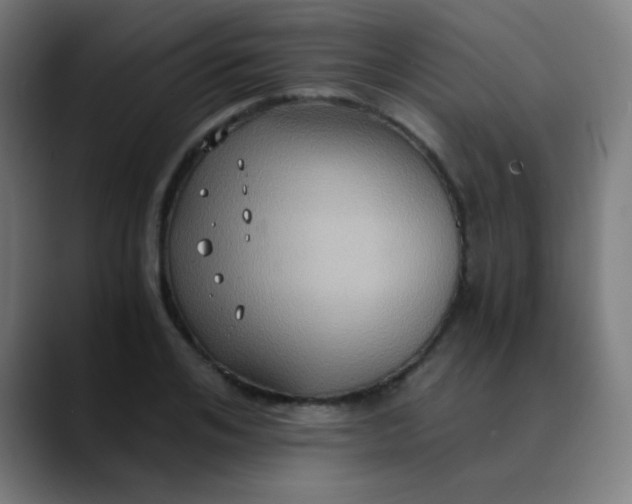 X0000089730984200707121446