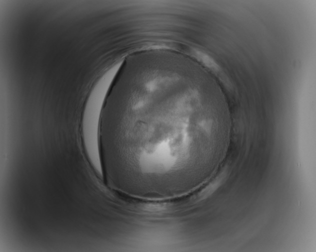 X0000089730985200707121446