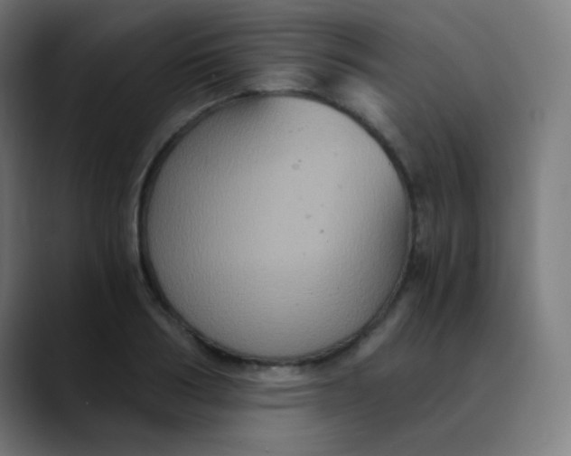 X0000089730986200707121446