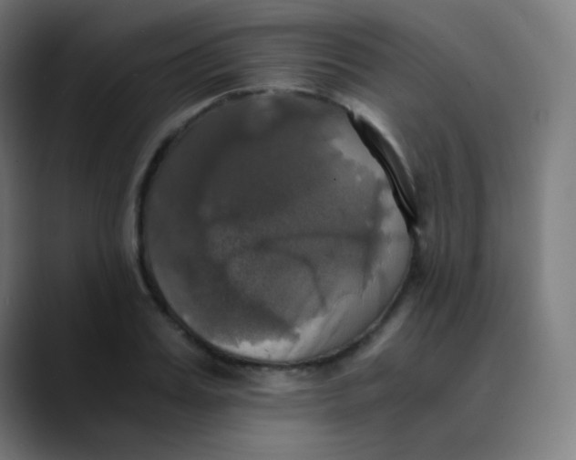X0000089730987200707121446