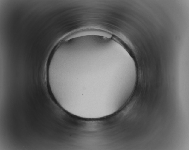 X0000089730988200707121446