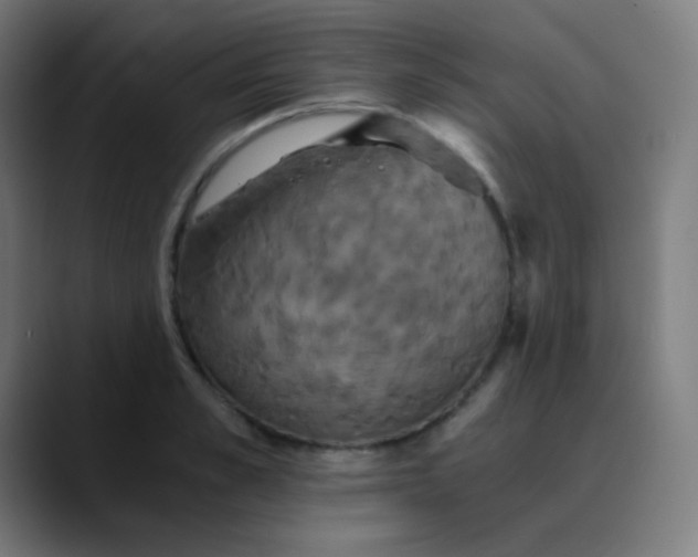 X0000089730989200707121446