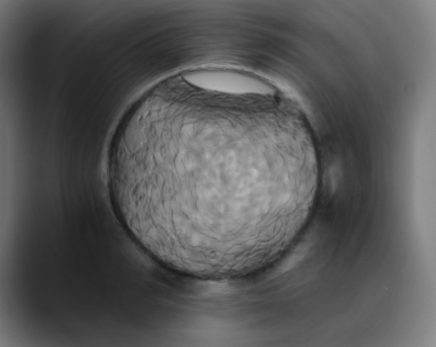 X0000089730990200707121446